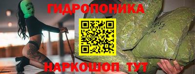 прущие грибы Пушкино
