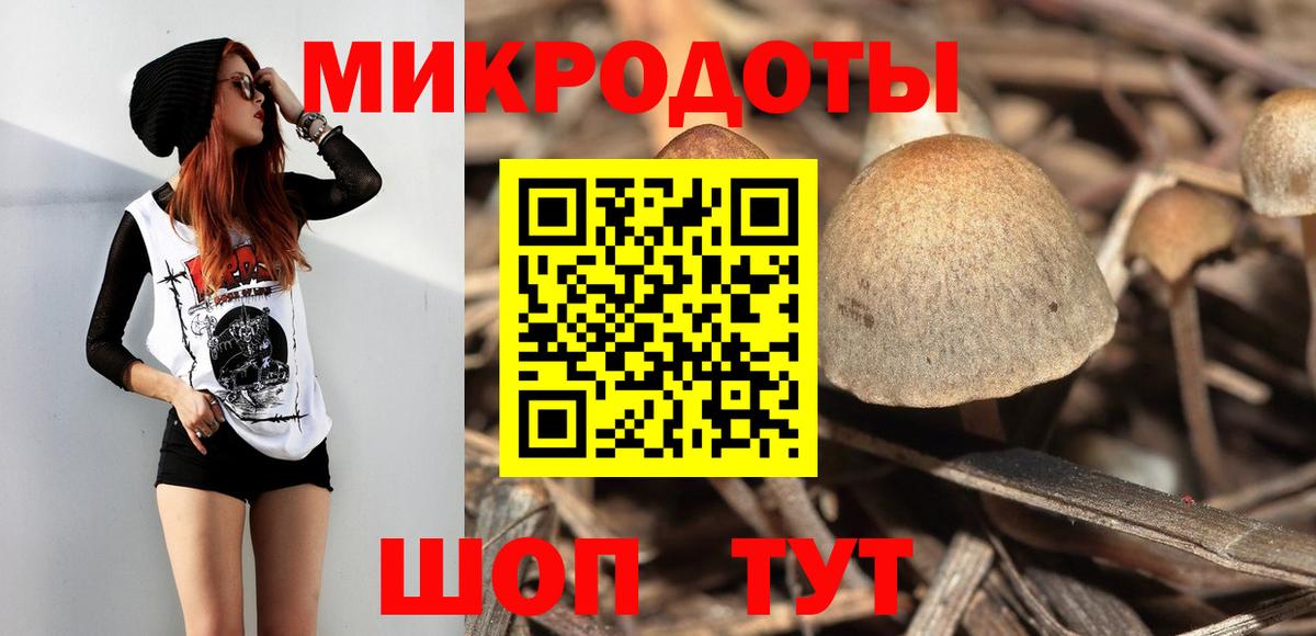 Псилоцибиновые грибы ЛСД Ревда